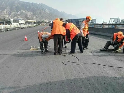 惠阳道路桥梁病害治理